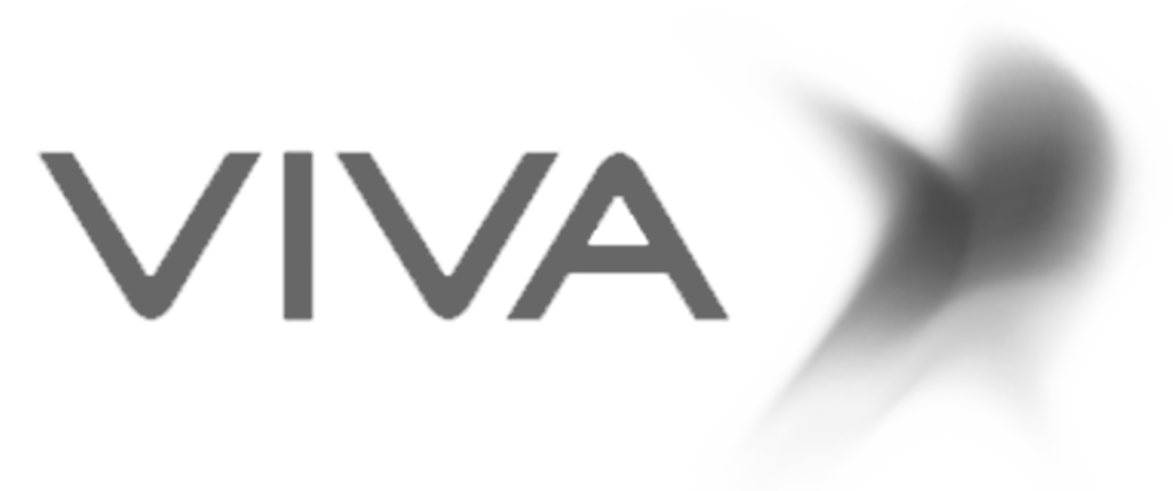 38-VIVA.png